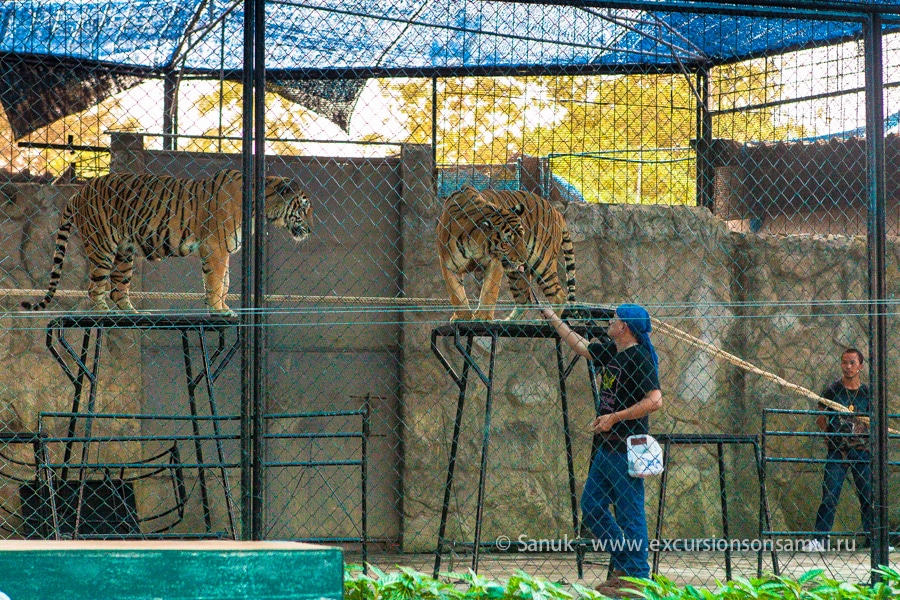Аквариум и зоопарк на о. Самуи, остров Самуи, Таиланд
