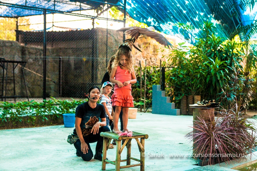 Аквариум и зоопарк на о. Самуи, остров Самуи, Таиланд