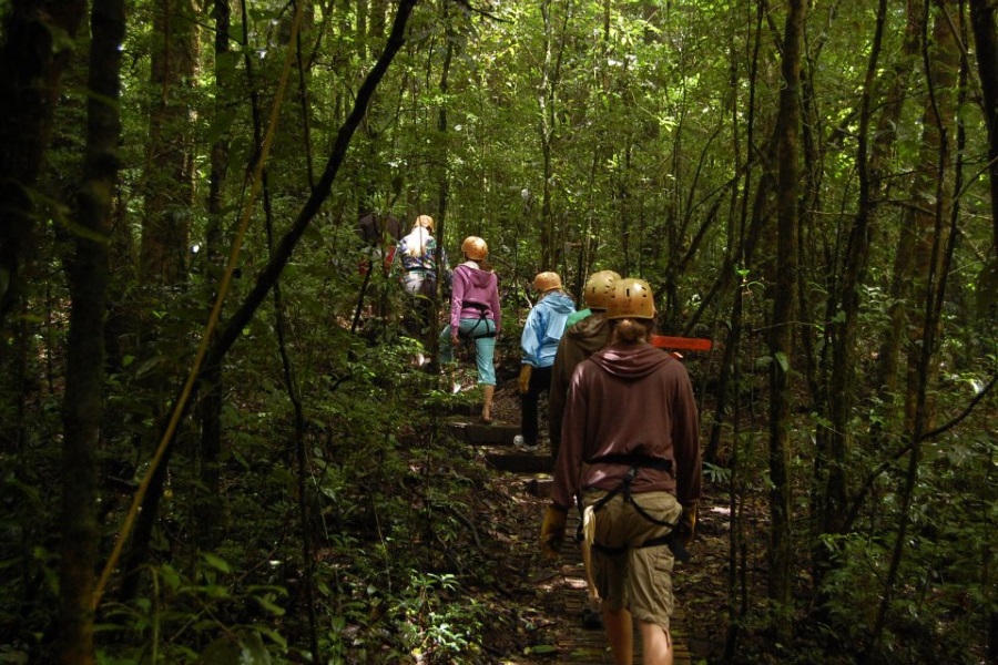 Canopy adventure, остров Самуи, Таиланд