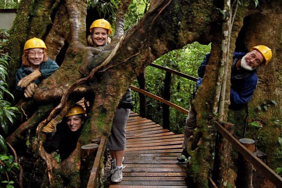 Canopy adventure, остров Самуи, Таиланд