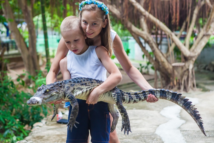 Ферма крокодилов, остров Самуи, Таиланд