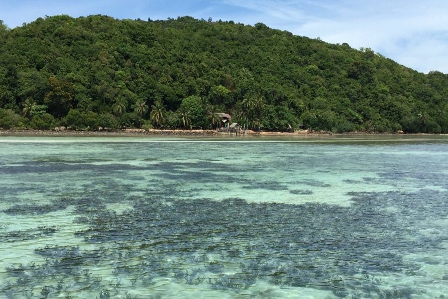 Круиз на о. Тан «Green peace island» с обедом во французском ресторане, остров Самуи, Таиланд