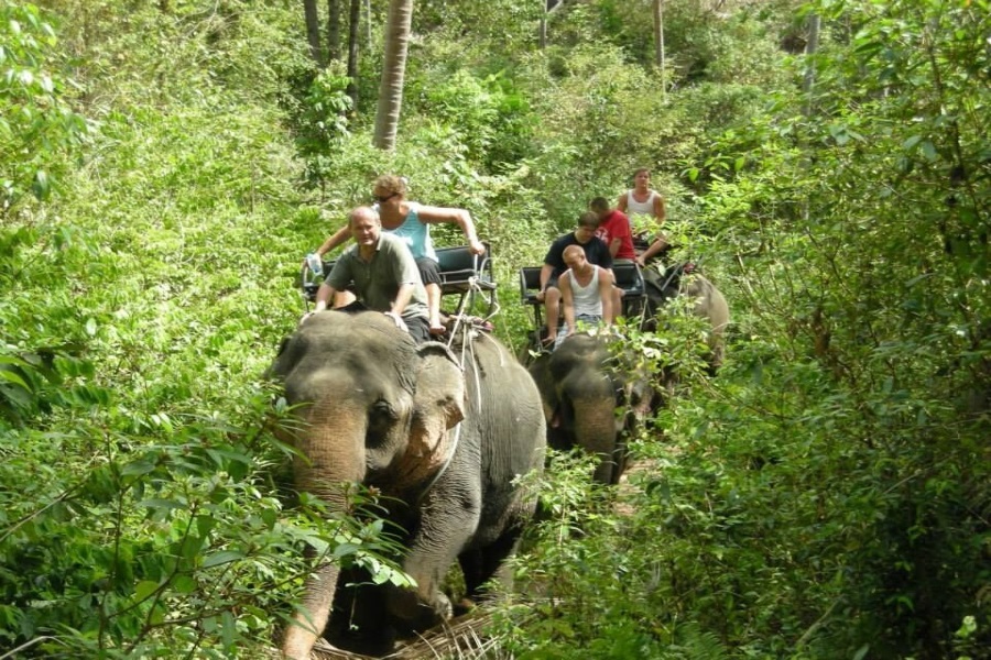 Катание на слонах для детей и взрослых, остров Самуи, Таиланд