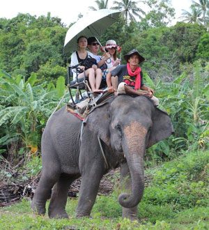 Elephant trekking, Samui