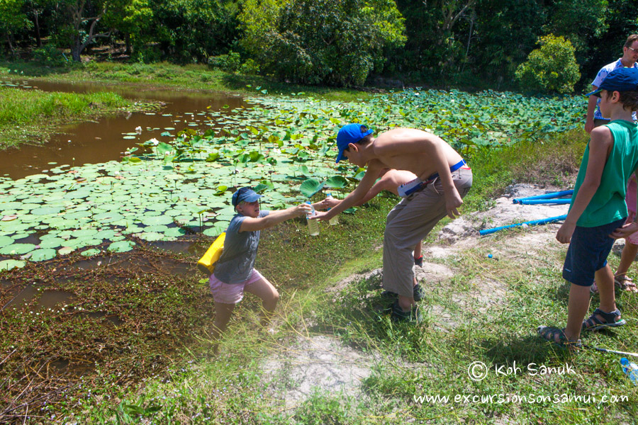 Квест-тур на острове Тан для детей и взрослых, остров Самуи, Таиланд