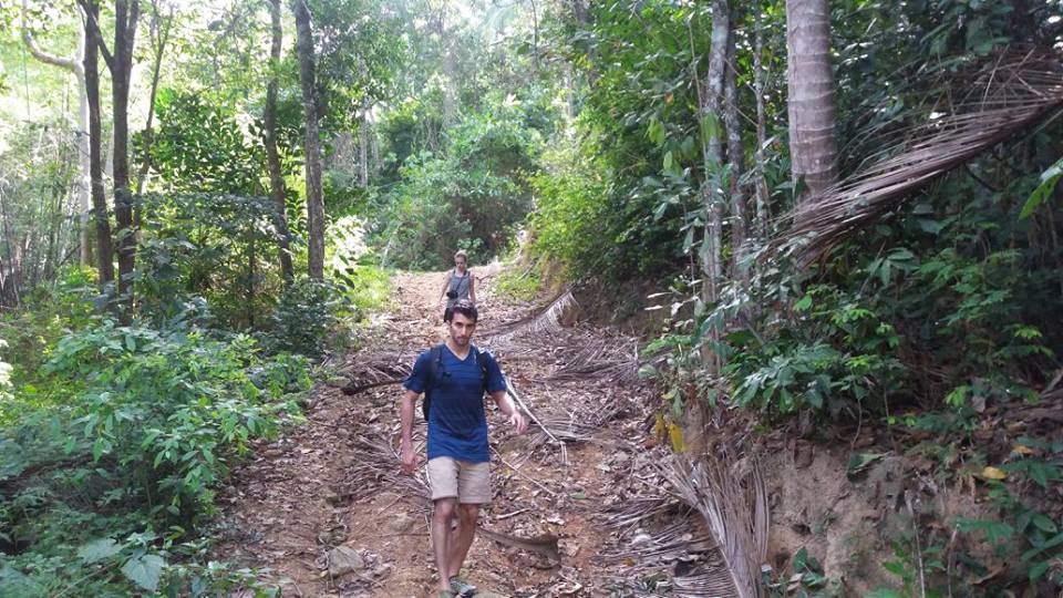 Пешие походы по горным джунглям острова с гидом, остров Самуи, Таиланд
