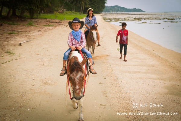 Прогулка на лошадях по пляжу и джунглям, остров Самуи, Таиланд