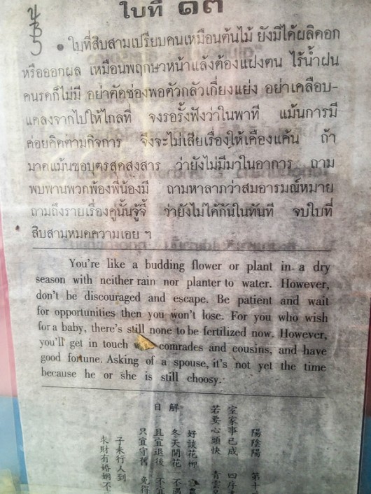 Предсказание Сиамси 13