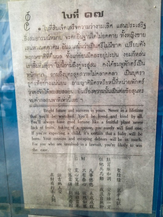 Предсказание Сиамси 17