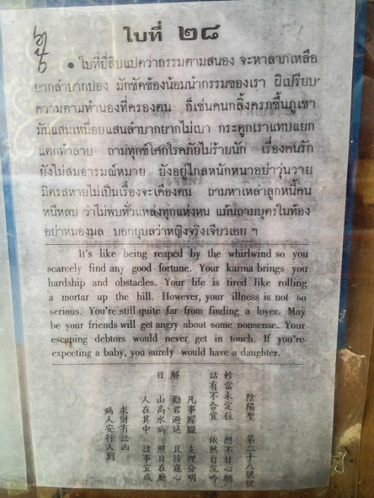 Предсказание Сиамси 28