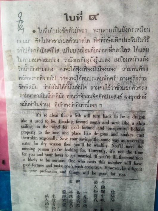 Предсказание Сиамси 9