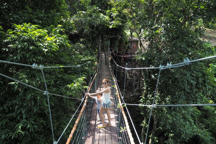 Канатная дорога и кафе на дереве «Tree bridge», остров Самуи, Таиланд