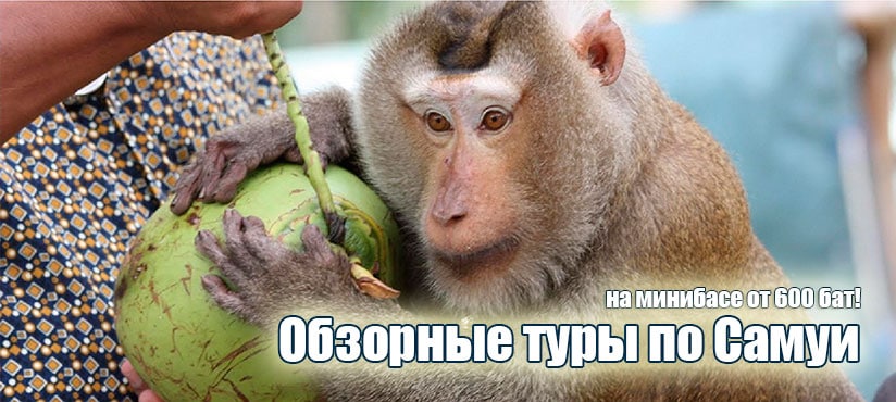 Недорогая обзорная экскурсия по о. Самуи